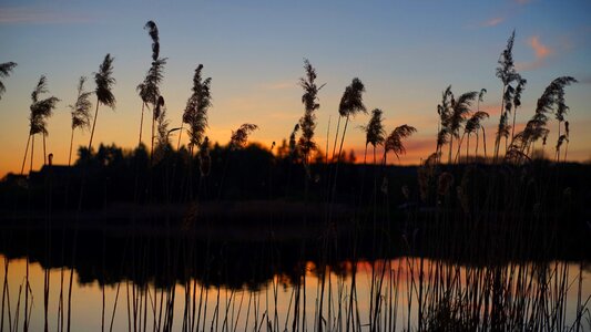 Nature river water photo