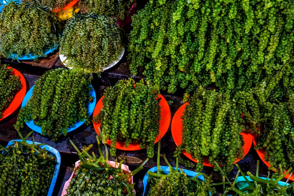 July 2017. Local markets provide for wants and needs. Being able to purchase rice, fish, and other goods is a primary driver of the need for cash and desire to be involved in enterprise projects. Puer