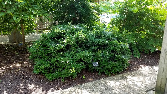 Chadwick Arboretum and Learning Gardens Lane Avenue Gardens The Ohio State University Columbus, Ohio photo