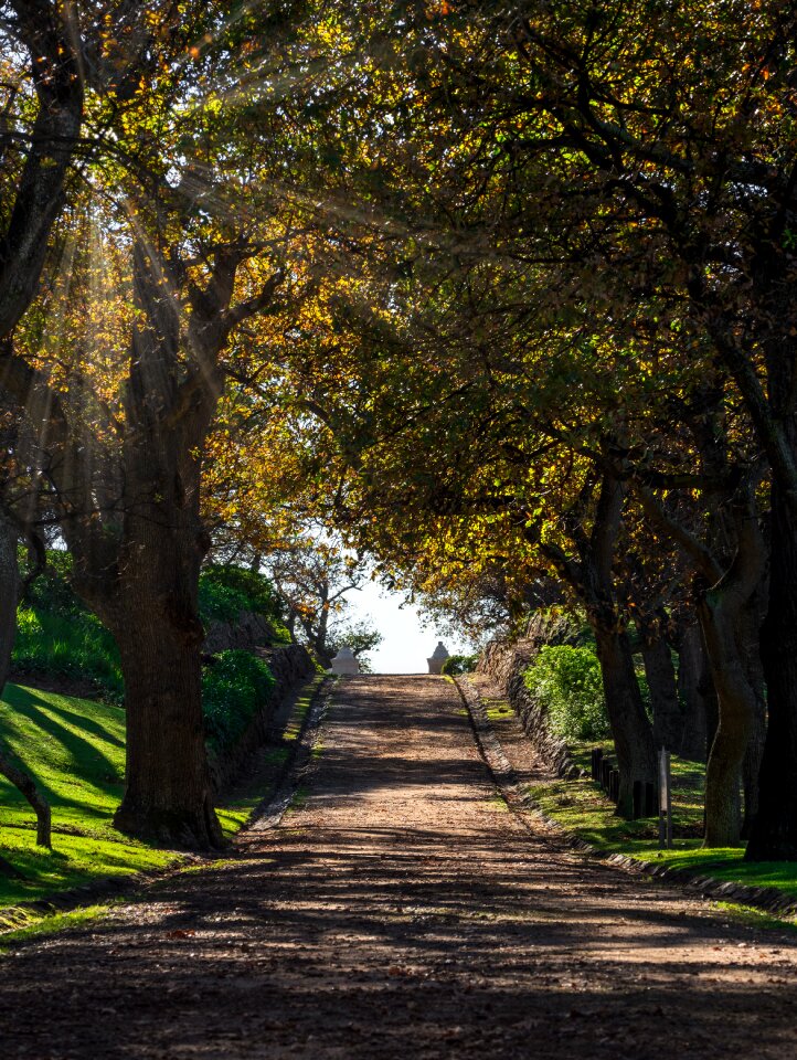 Road autumn forest