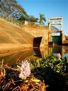 Sunset, Eichhornia crassipes in Angat River Afterbay Regulatory Dam (Bay walk, boulevard, Lico, San Rafael-Bustos-Angat, Bulacan villages) (Bustos Dam, rubber dam in Asia at 79 meters and the second l