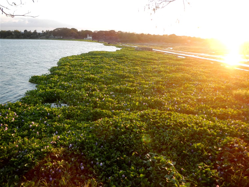 Angat River Afterbay Regulatory Dam (Bay walk, boulevard, Lico, San Rafael-Bustos-Angat, Bulacan villages) (Bustos Dam, rubber dam in Asia at 79 meters and the second largest in the world; Coordinates