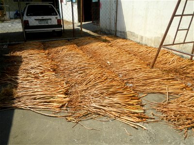 San Roque, Cardona, Rizal Patunhay, Cardona, Rizal Cardona Multi-Purpose Cooperative - Shared Service Facility DOST Water hyacynth Yanmar Caterpillar E110B Cardona Public Market Cardona Fire Station a photo