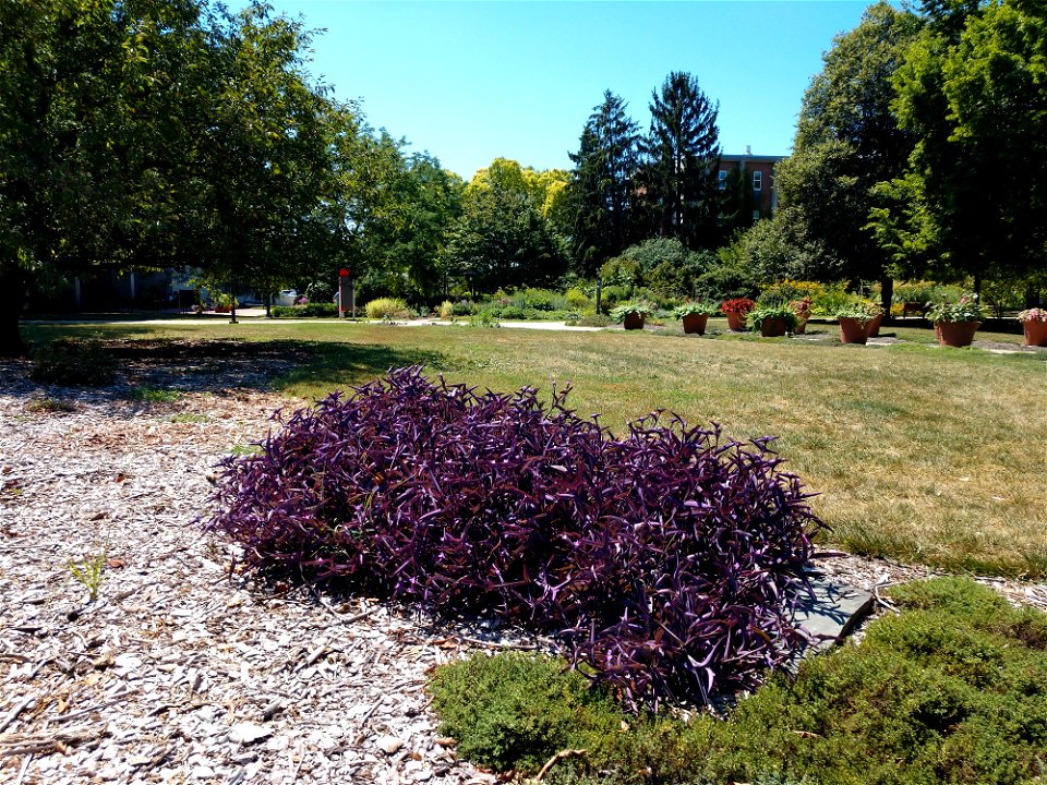 Learning Gardens
The Ohio State University

Columbus, Ohio