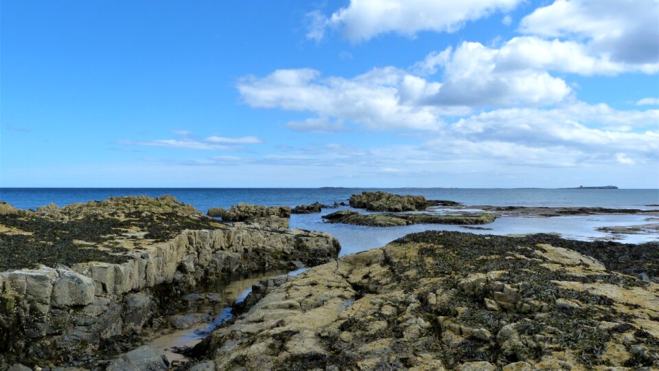 Sea water beach photo