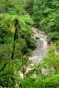 Kaituna River in Kahurangi National Park