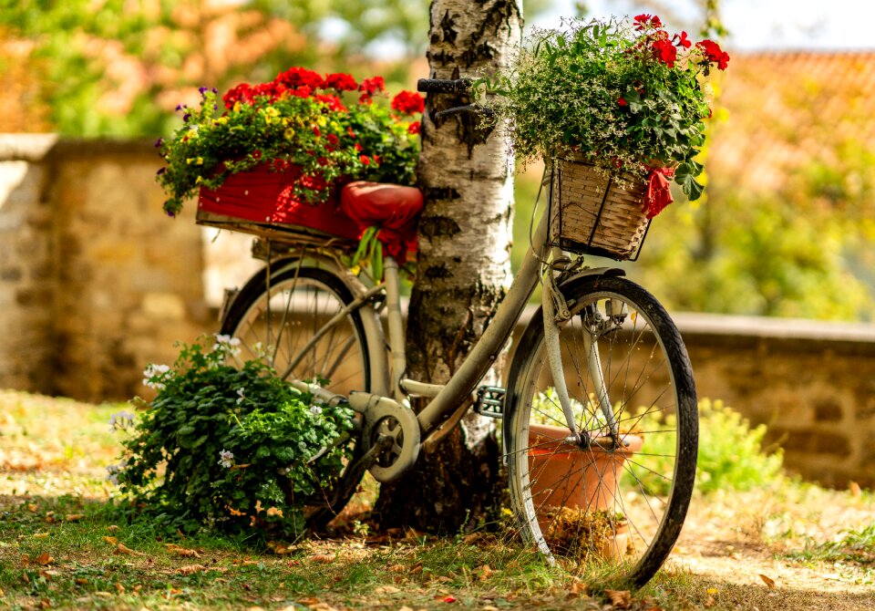 Cycling locomotion bicycle tour