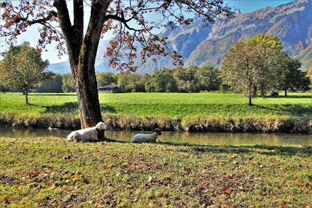 Village the environment scenery photo