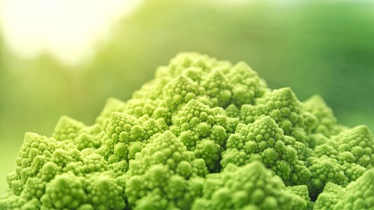 Food vitaminhaltig vitamins
