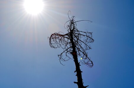 Nature landscape sky photo