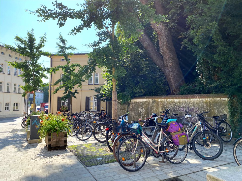 Fahrradständer und Ginkgo biloba in Freising. Im Hintergrund: Heiliggeistgasse 22
