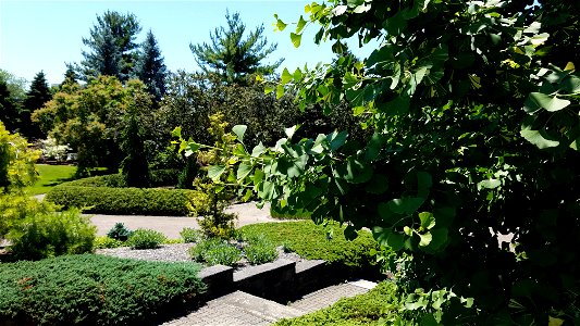 Chadwick Arboretum and Learning Gardens
The Ohio State University

Columbus, Ohio