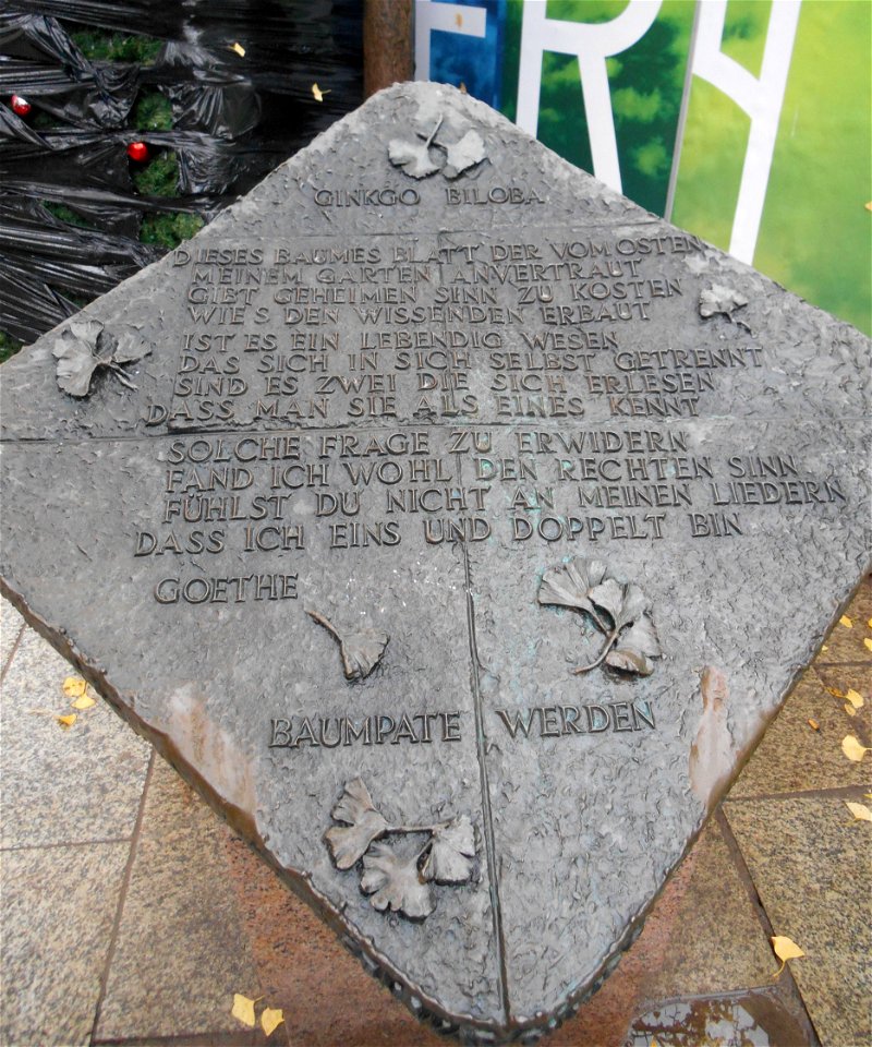 Bronzetafel für Gingko biloba mit dem Goethegedicht "Gingko biloba" und Aufruf "Baumpate werden" von Ben Wagin (geb. 1930; seit 1955 in Berlin lebend) an der K.-W.-Gedächtniskirche in Berlin-Charlotte