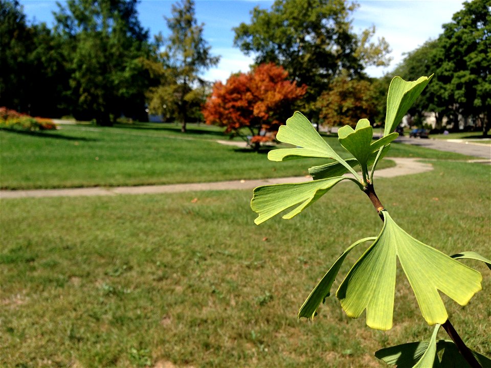 Upper Arlington, Ohio
