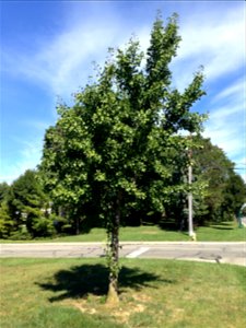 Upper Arlington, Ohio