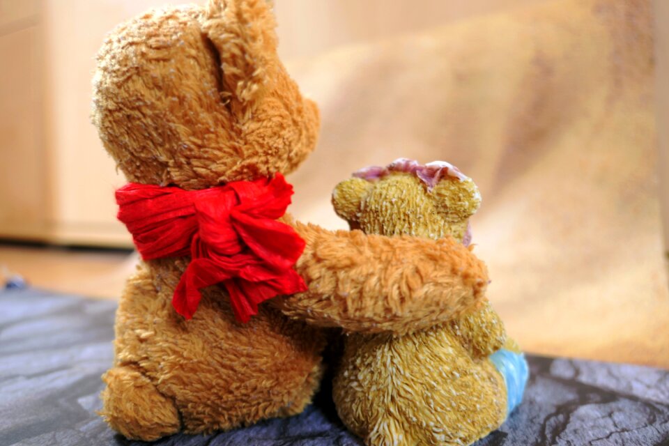 Mascot teddy bear teddy
