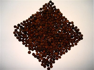 black pepper , Kali mirch