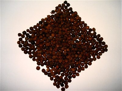 black pepper , Kali mirch photo