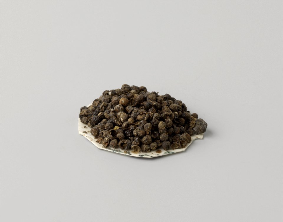 IdentificatieTitel(s): PeperkorrelsObjecttype: peper Objectnummer: NG-2015-19Omschrijving: Peperkorrels gelijmd op een ovaal stuk karton, afkomstig uit het wrak van het V.O.C.-schip 'Witte Leeuw'.Verv