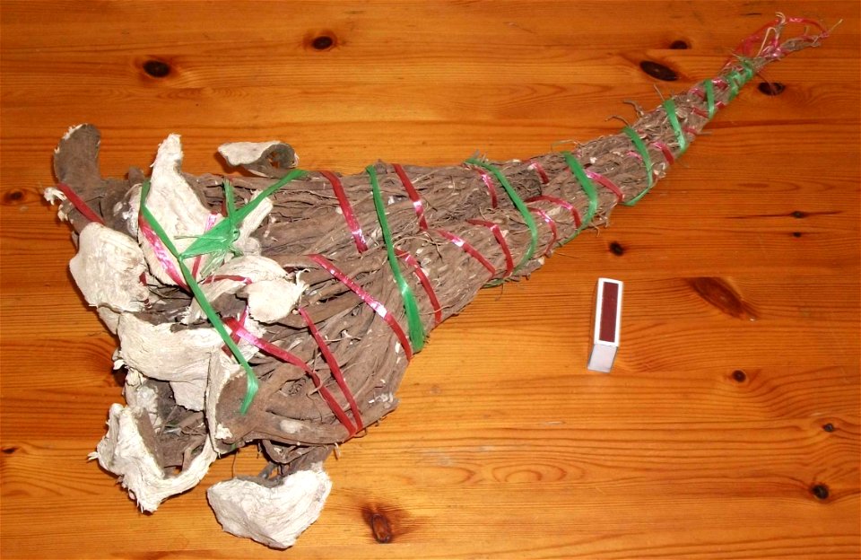 Traditional Fijian bundle of kava roots used for presentations in cultural rituals such as official welcoming, funerals, reconciliation ceremonies; etc. Matchbox added for size comparison.