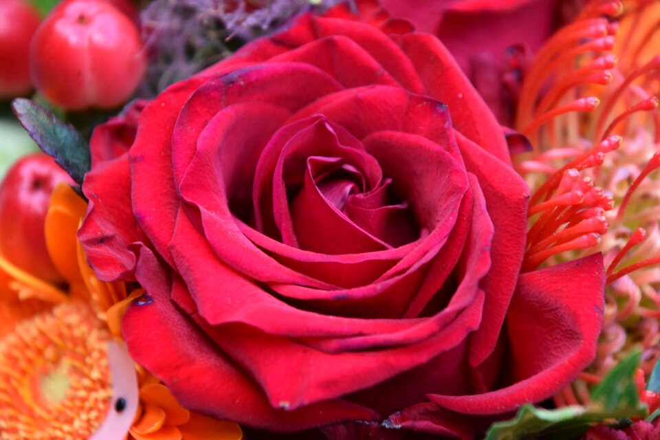 Nature love romance