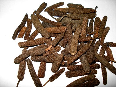 Long pepper also known as peppli in urdu and filfil daraz in arabic
