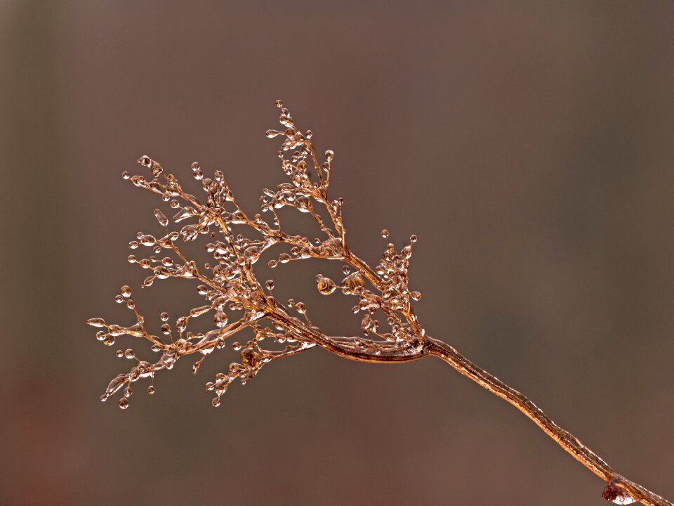 Frozen eiskristalle icy
