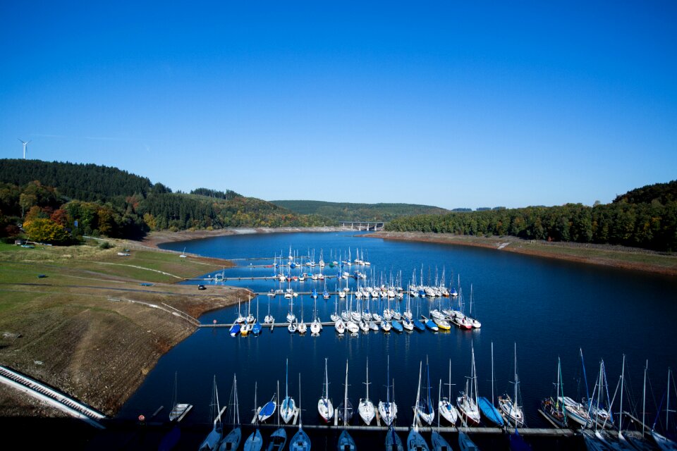 Yacht forest nature
