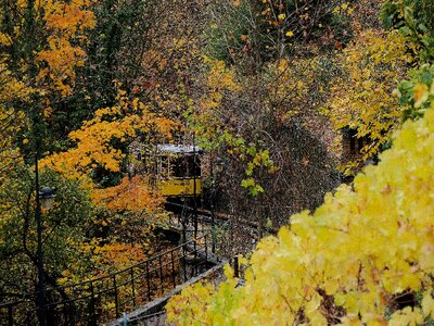 Funicular railway vineyard emerge