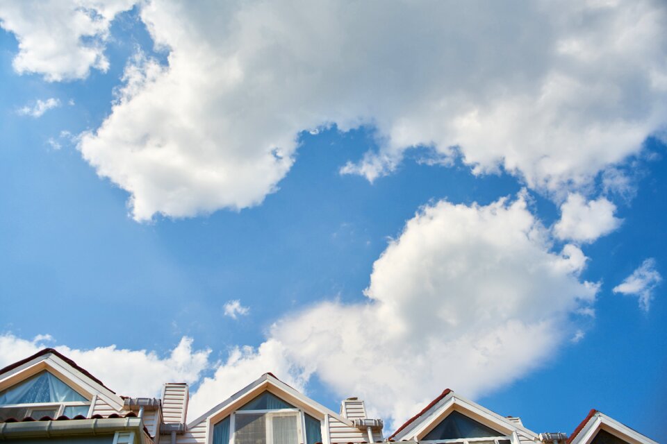 Building window houses