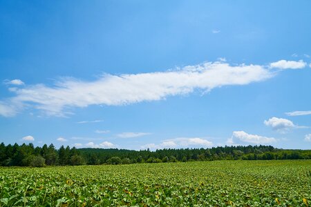 Area rural nature