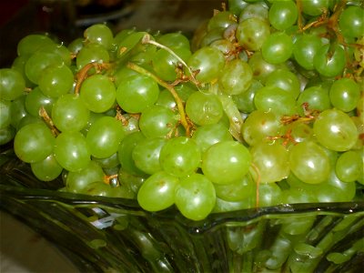 Green Grape photo