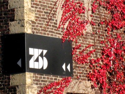 Attractive red-coloured Parthenocissus tricuspidata on a wall of the Beguinage of Hasselt, Belgium. photo