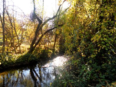 Landscape photographed from the Genetic Resource and Conservation Center in Chico, California.