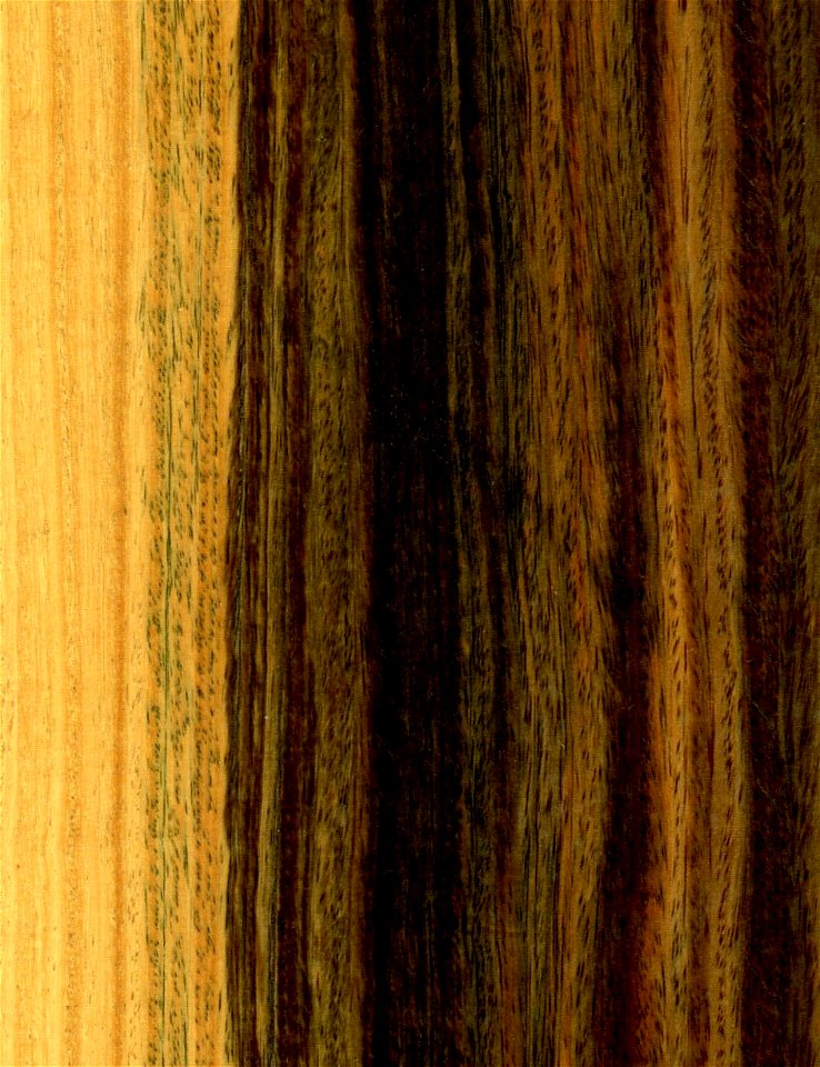 Cropped version of:
Summary




DescriptionBulnesiaSarmientoi wood01.jpg

 Wood of Argentine lignum vitae (Bulnesia Sarmientoi)
Русский:  Древесина пало санто (Bulnesia Sarmientoi)



Date

20 Apr