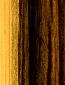 Cropped version of: Summary DescriptionBulnesiaSarmientoi wood01.jpg Wood of Argentine lignum vitae (Bulnesia Sarmientoi) Русский: Древесина пало санто (Bulnesia Sarmientoi) Date 20 Apr photo