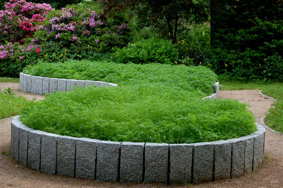 Neugestaltenes Beet im Rosarium Uetersen