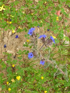 Photos of Nature reserve  Pura
