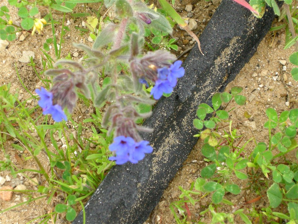Photos of Nature reserve  Pura