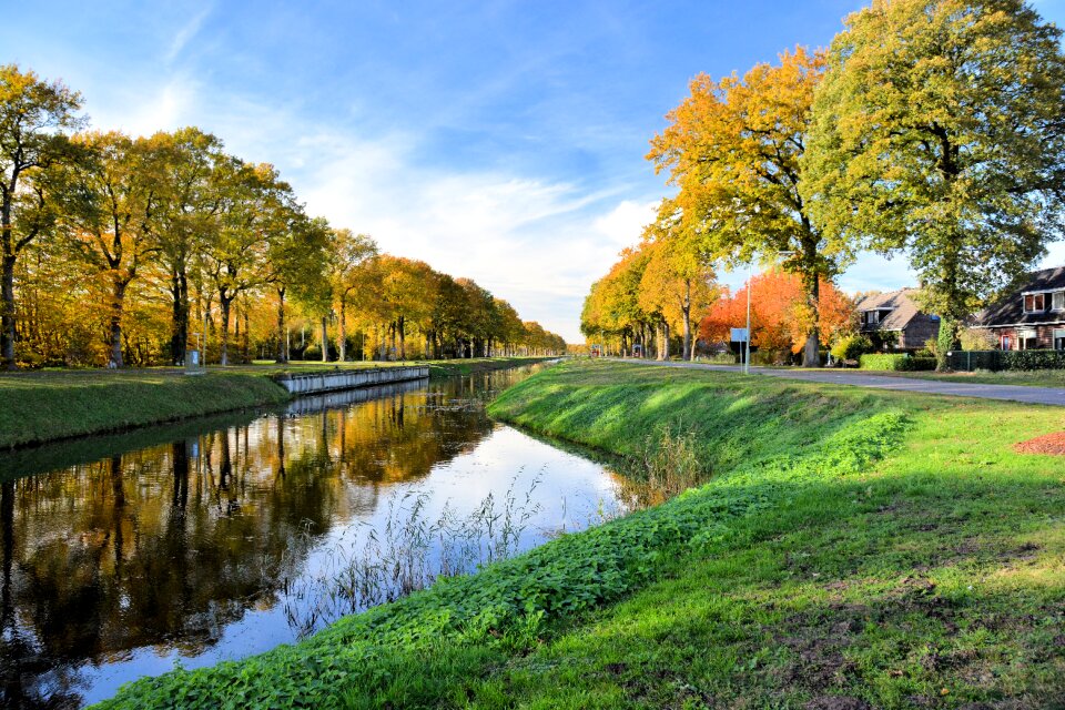 Trees landscape waterways photo