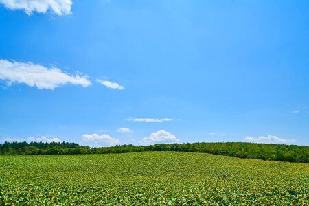 Area rural nature