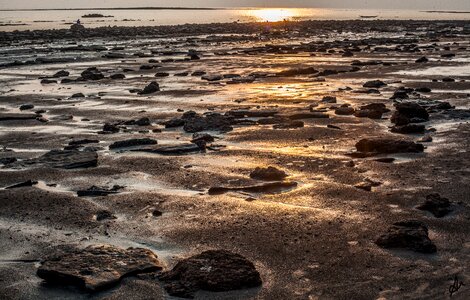 Beach nature outdoors photo