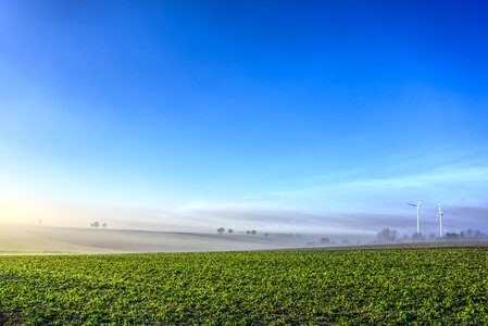 Blue field nature photo