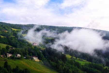Alm forest landscape