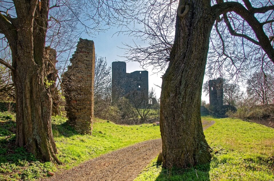 Ruin trees castle
