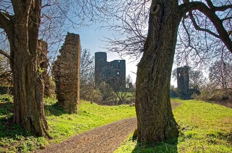 Ruin trees castle