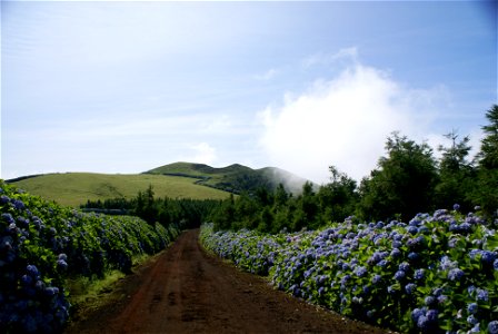 Pico do Carvão, estradas, Urzelina, Velas, ilha de São Jorge, Açores photo