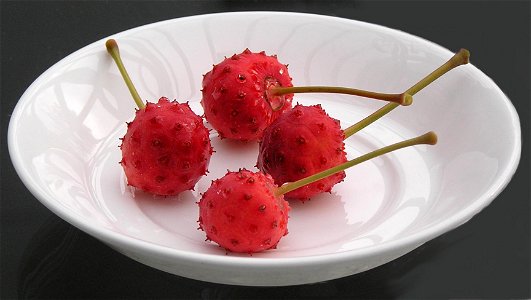fruits of Cornus kousa