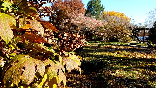 Chadwick Arboretum and Learning Gardens
The Ohio State University

Columbus, Ohio