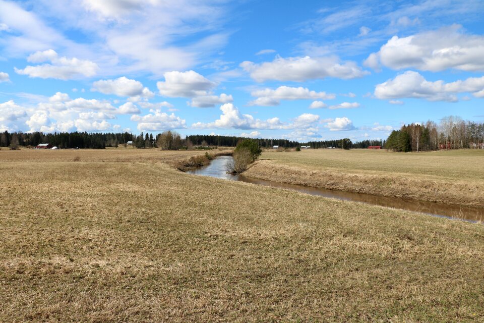 Landscape field spring